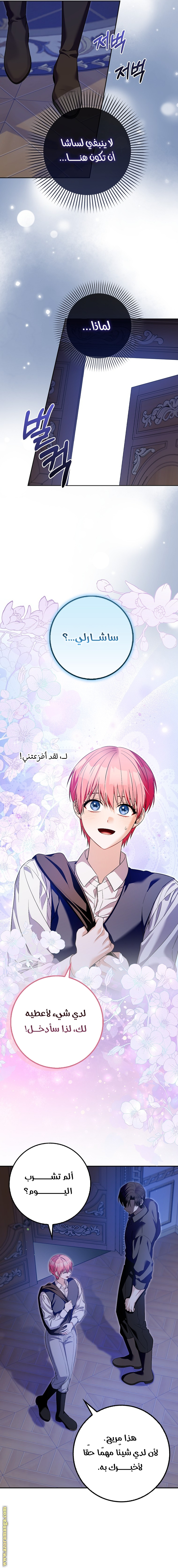 الصفحة 14