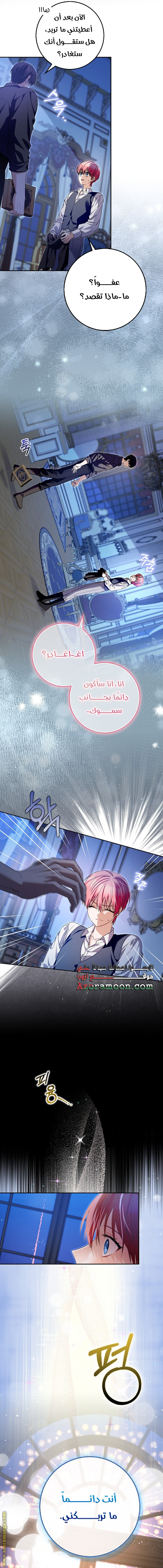 الصفحة 17