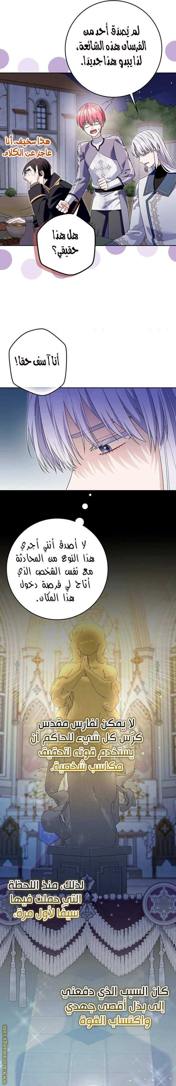 الصفحة 13