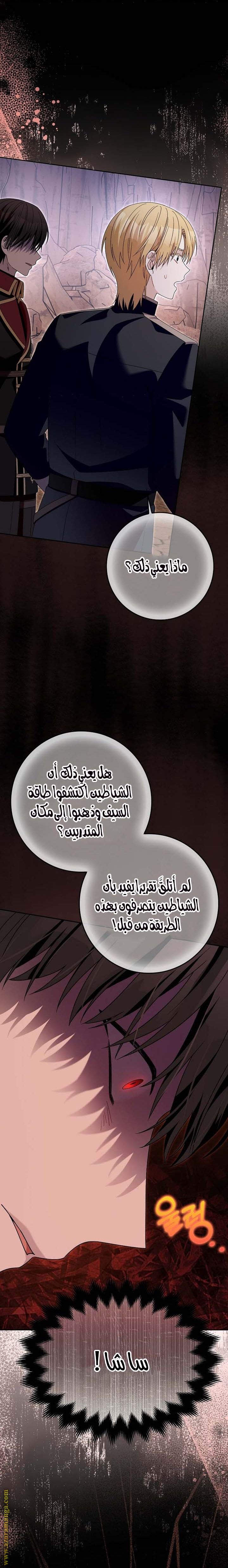 الصفحة 25