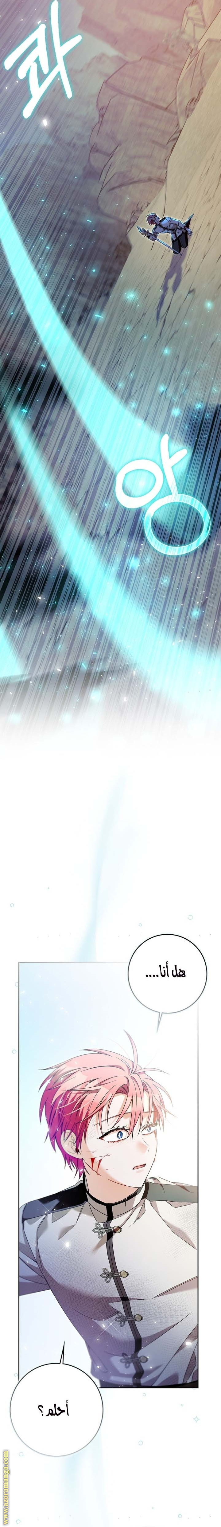 الصفحة 26
