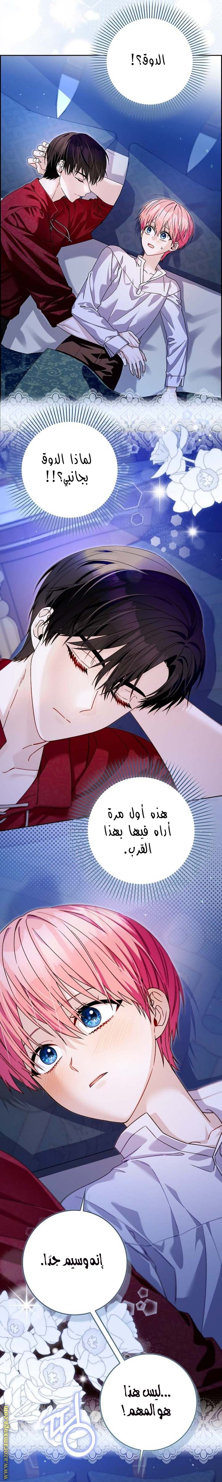 الصفحة 2