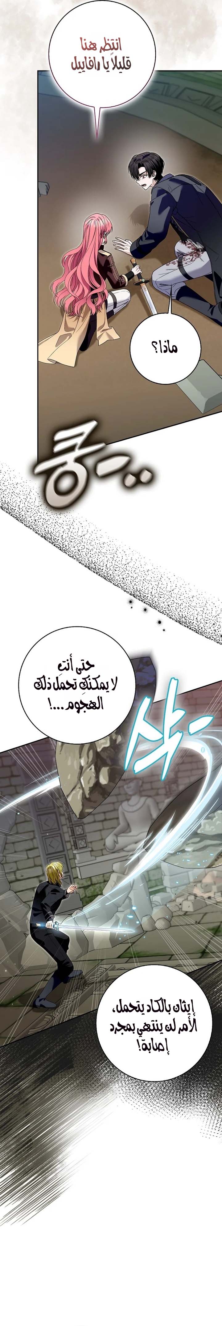 الصفحة 17