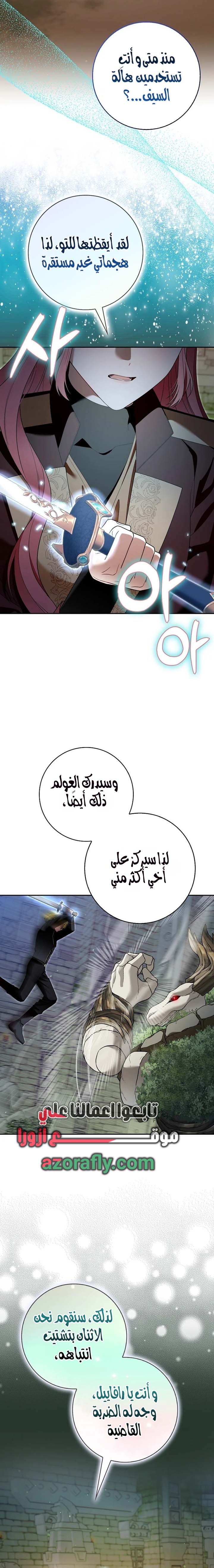 الصفحة 19