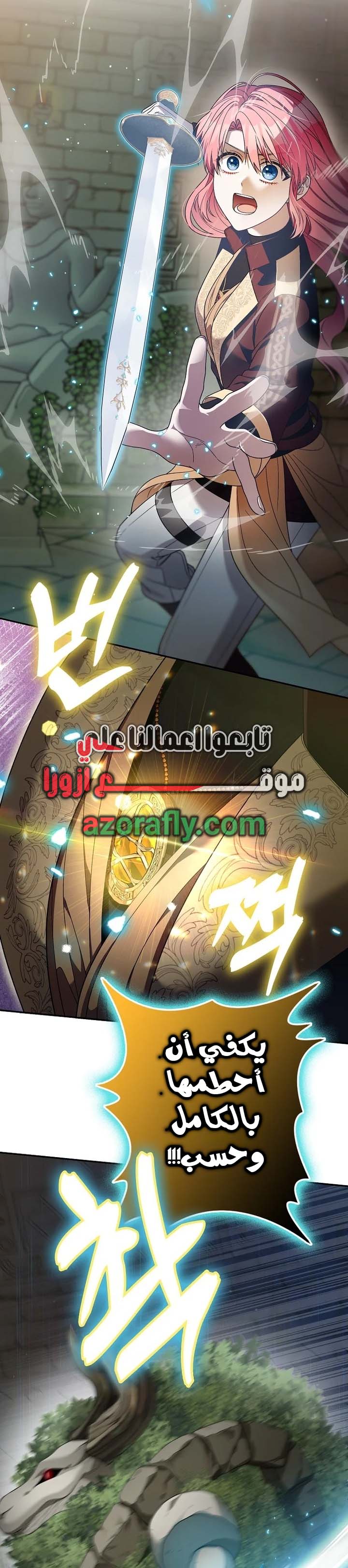الصفحة 25