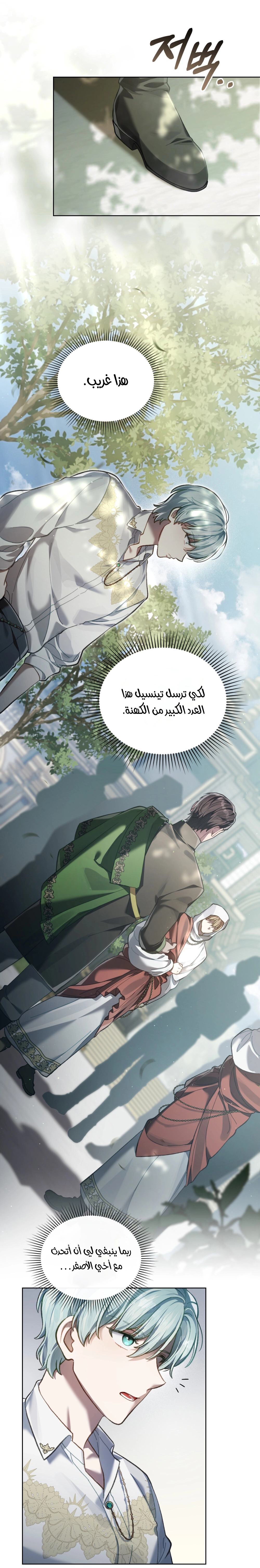 الصفحة 25