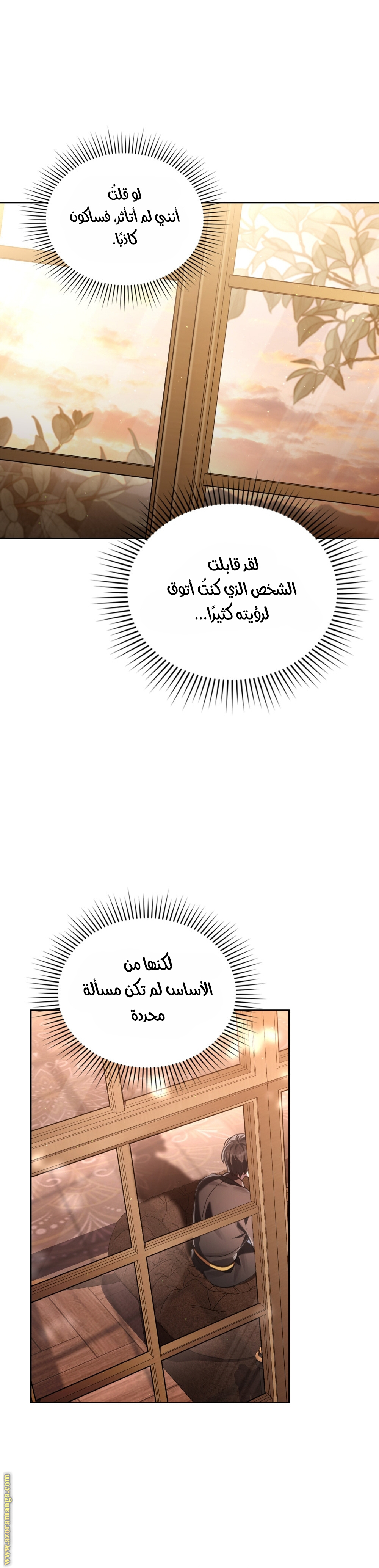 الصفحة 27