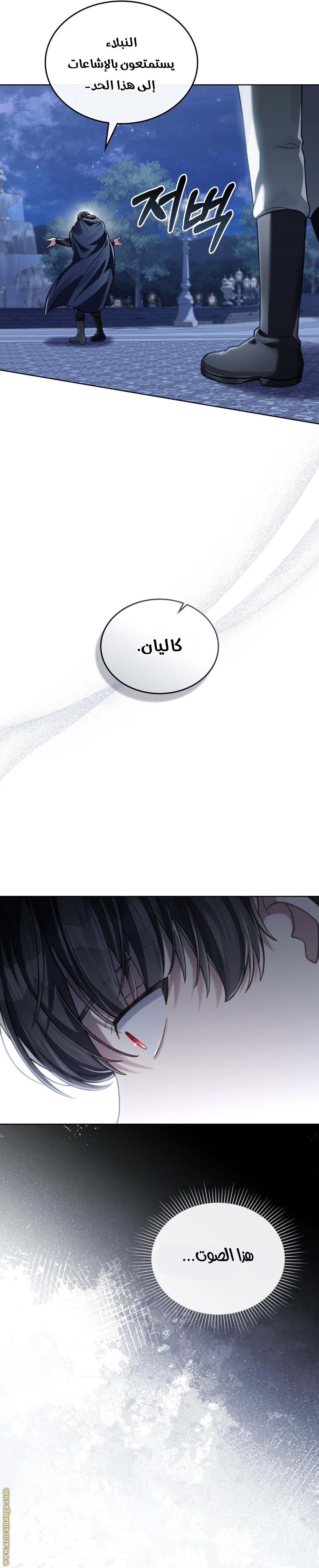 الصفحة 17