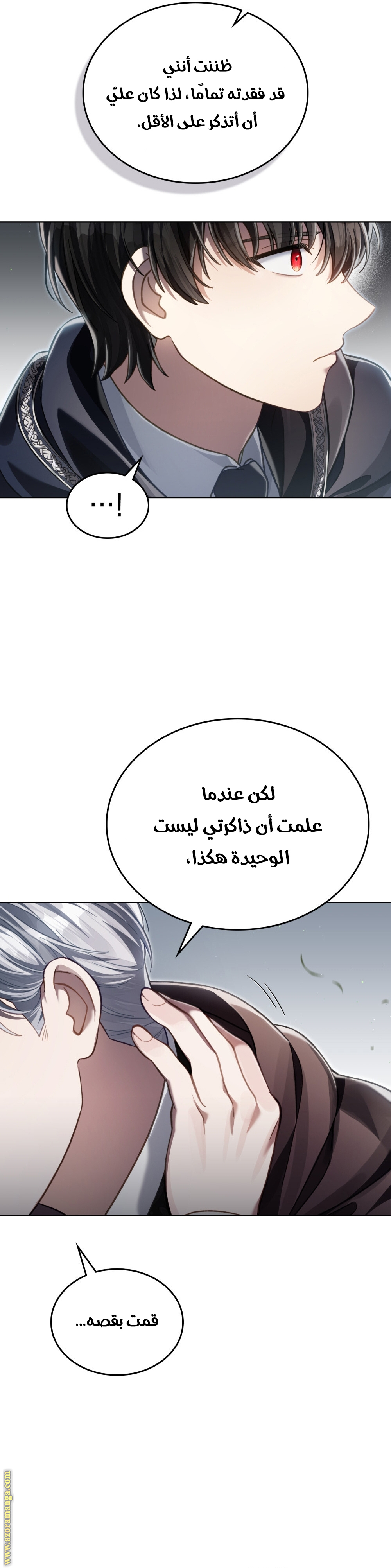 الصفحة 25