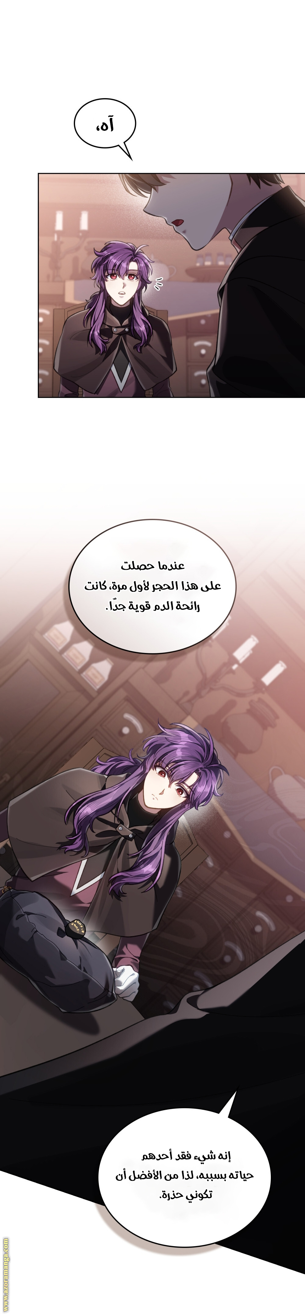 الصفحة 29