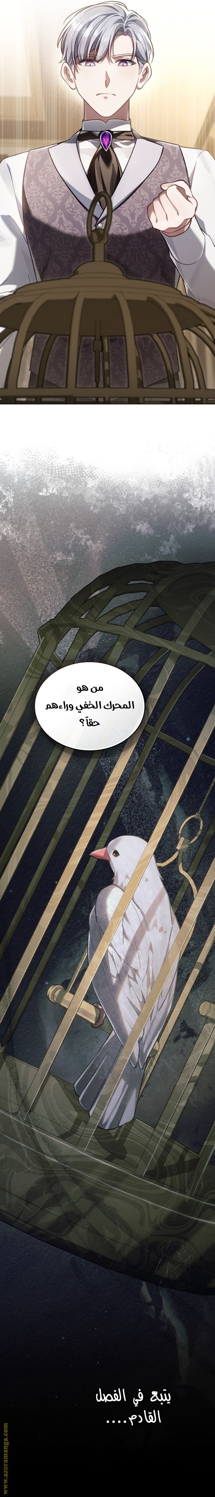 الصفحة 23