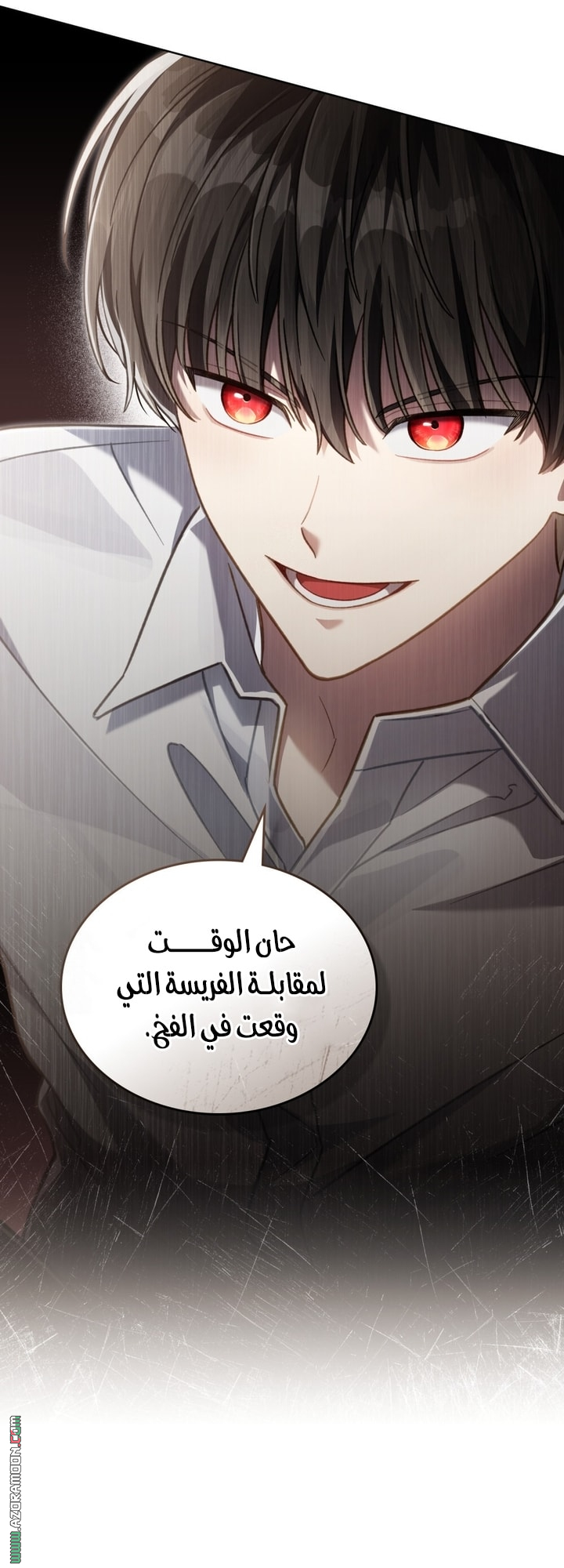 الصفحة 30