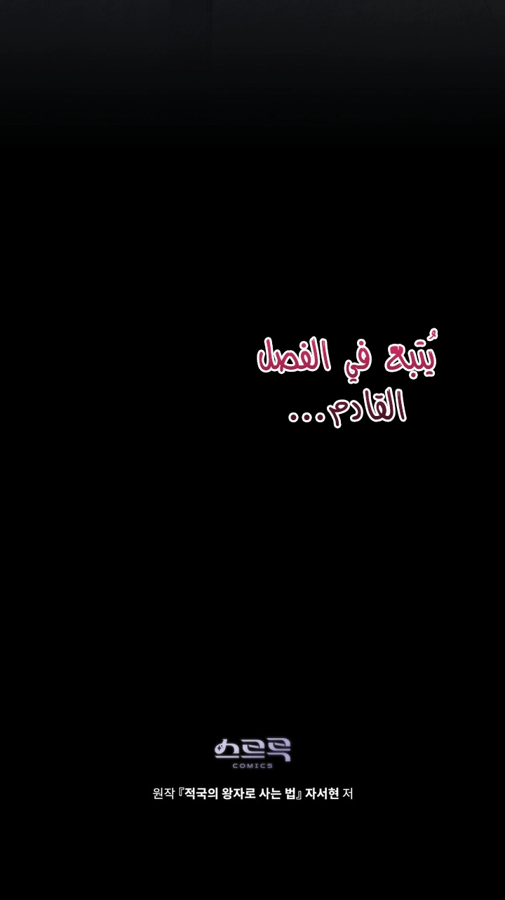 الصفحة 24