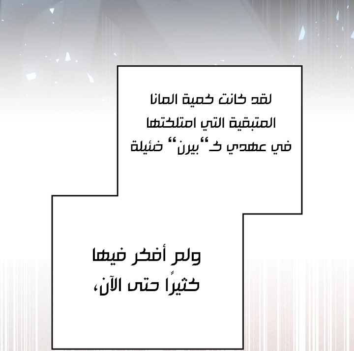 الصفحة 25
