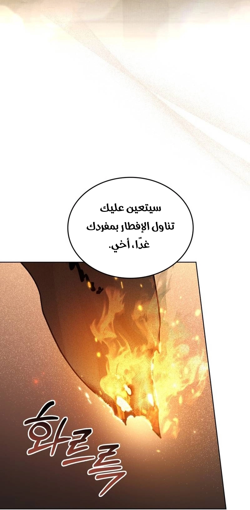 الصفحة 31