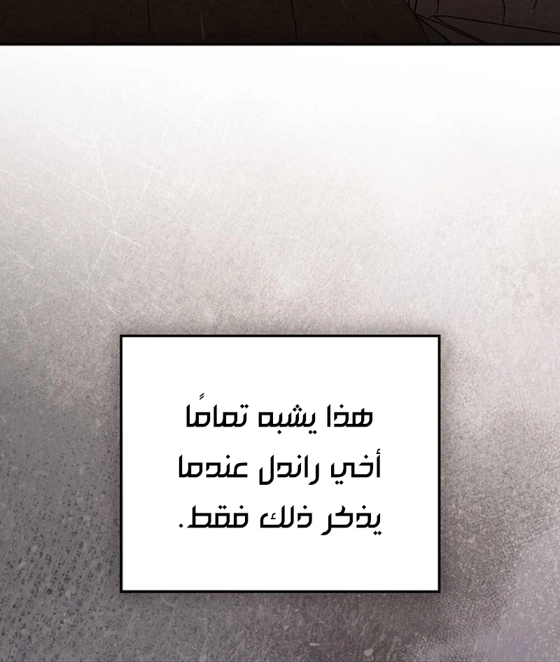 الصفحة 38