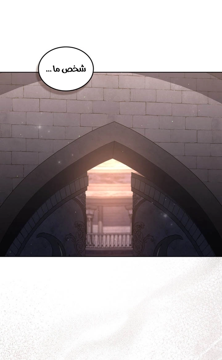 الصفحة 28