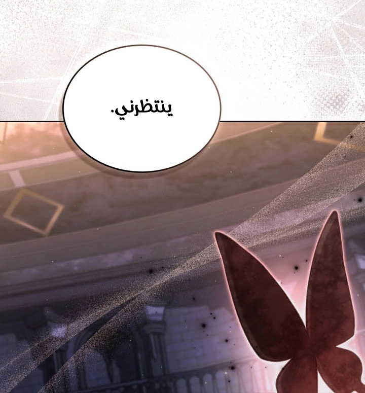 الصفحة 29