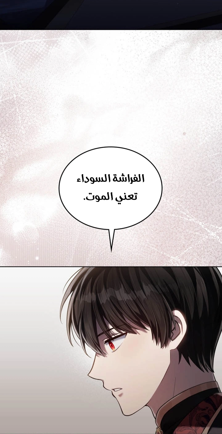 الصفحة 31