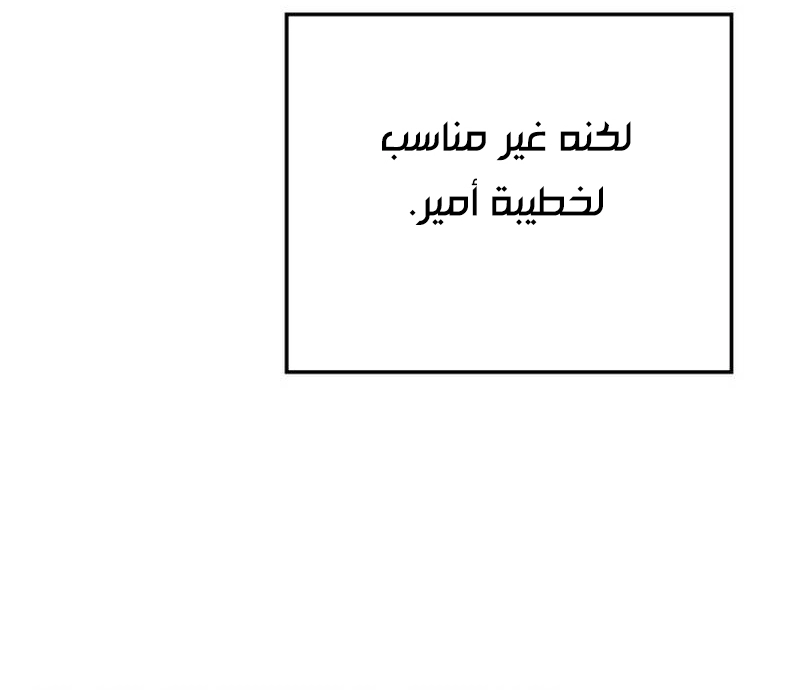 الصفحة 47