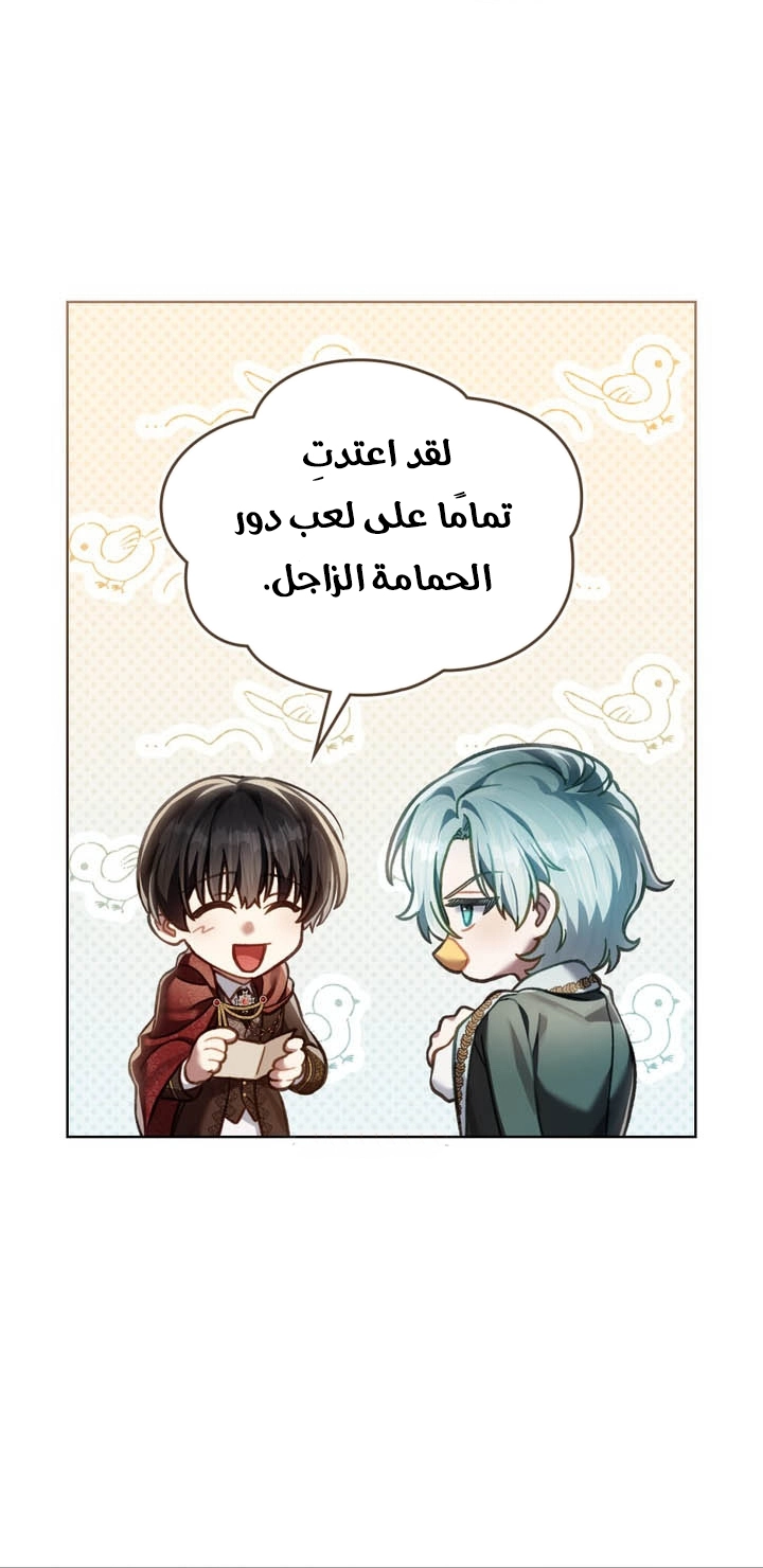 الصفحة 48