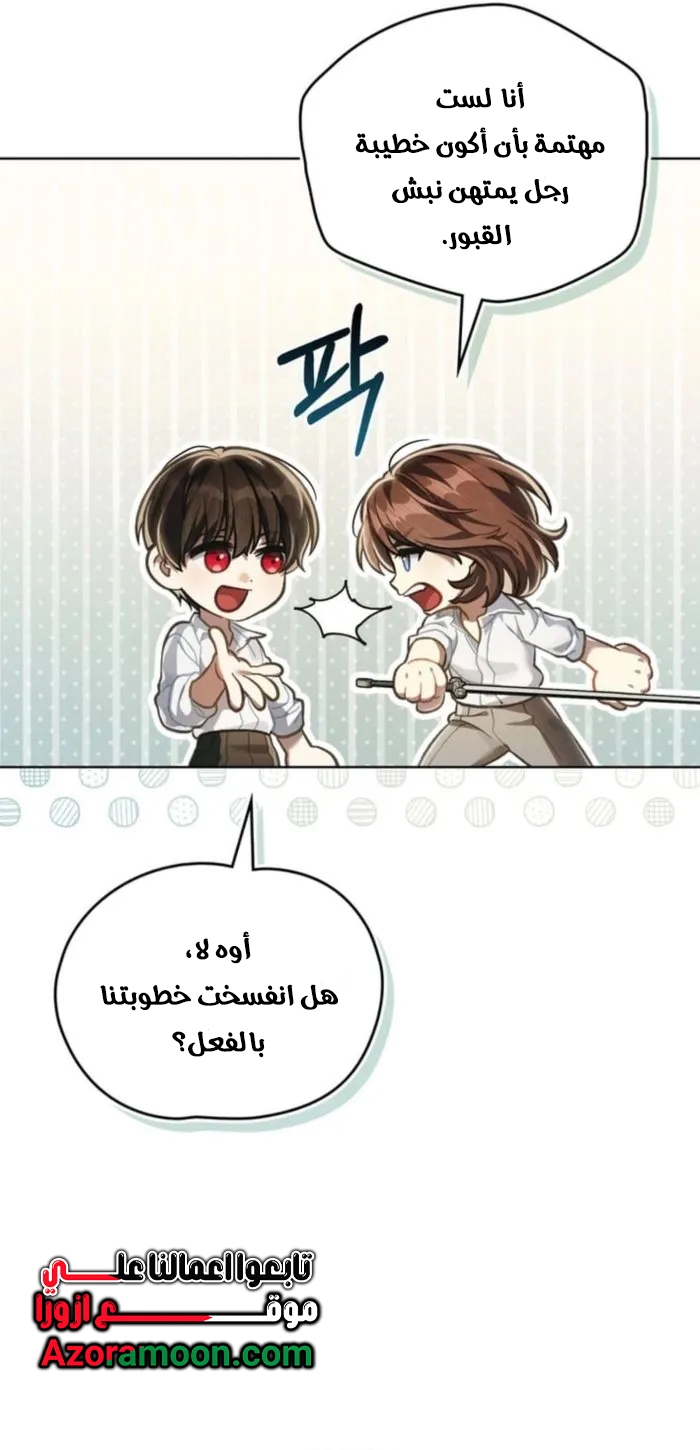 الصفحة 28