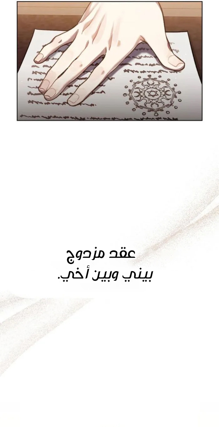 الصفحة 41