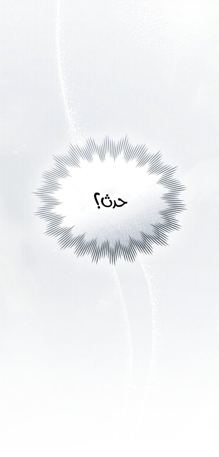 الصفحة 41