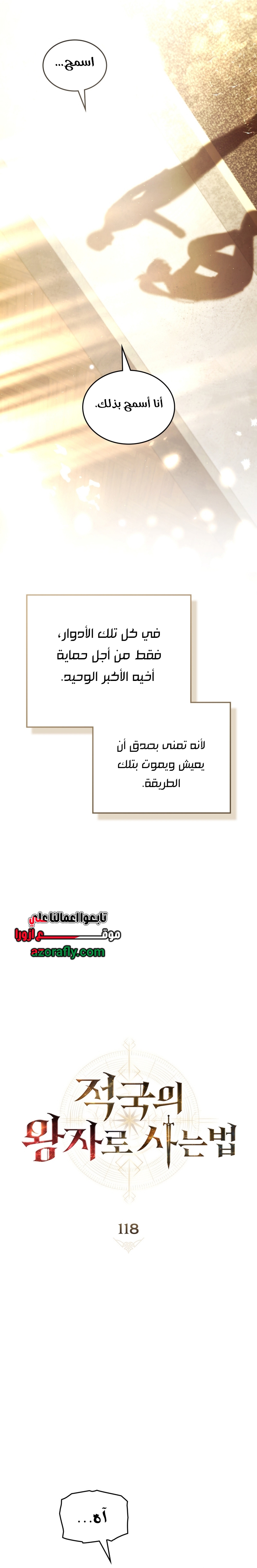 الصفحة 17
