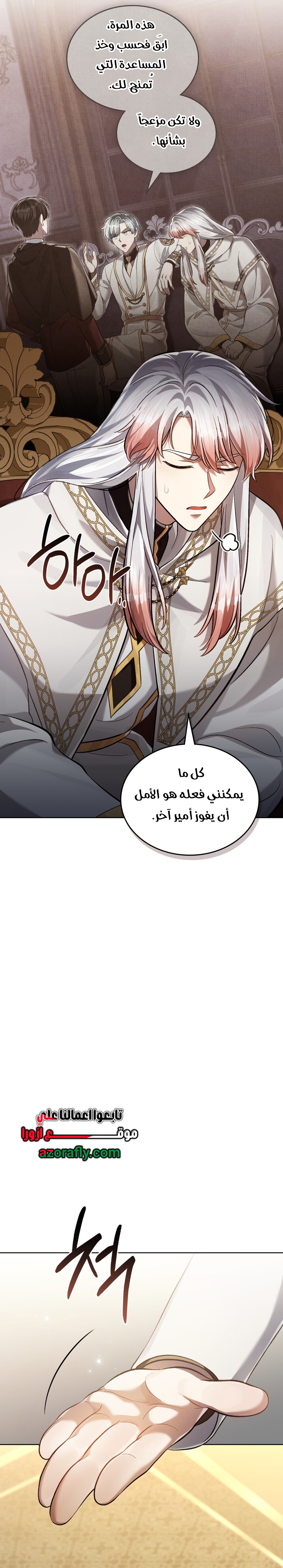 الصفحة 17