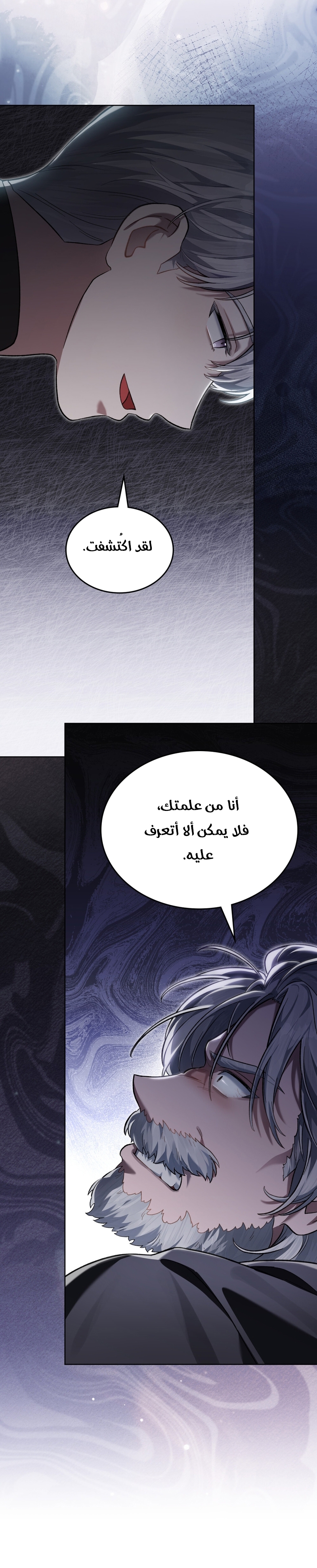 الصفحة 21