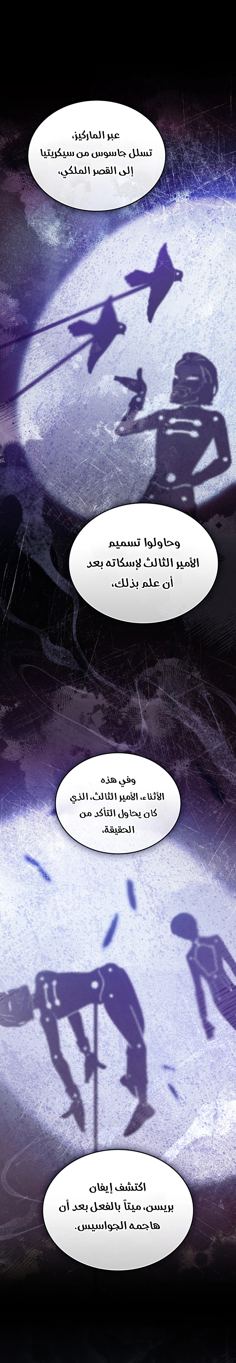 الصفحة 13