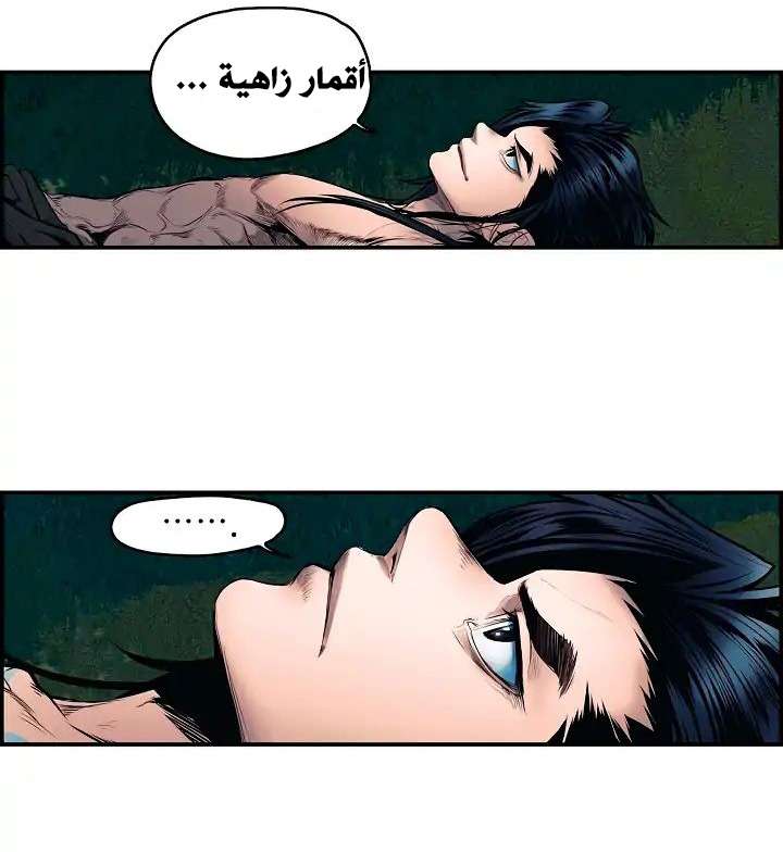 الصفحة 26