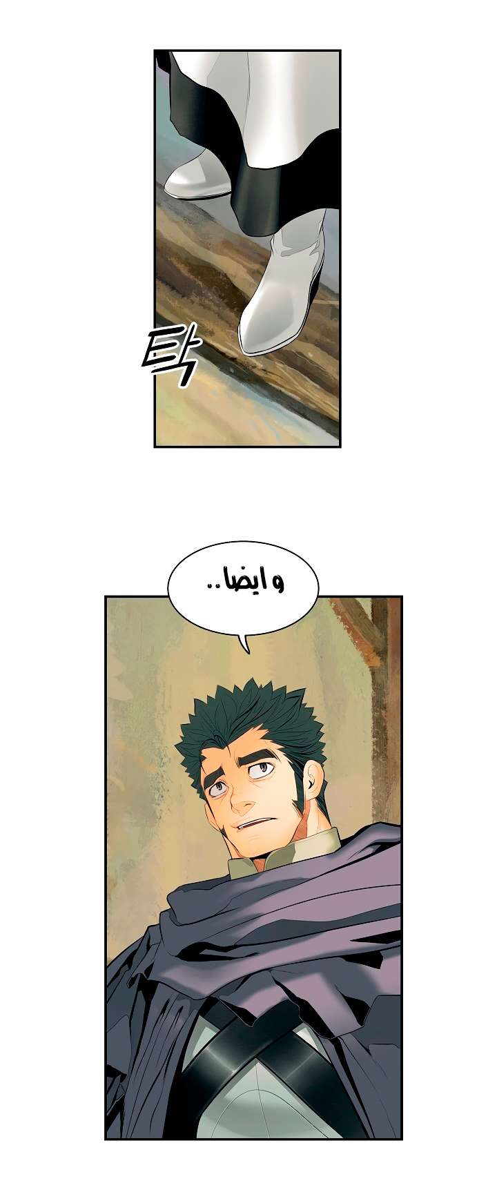 الصفحة 13