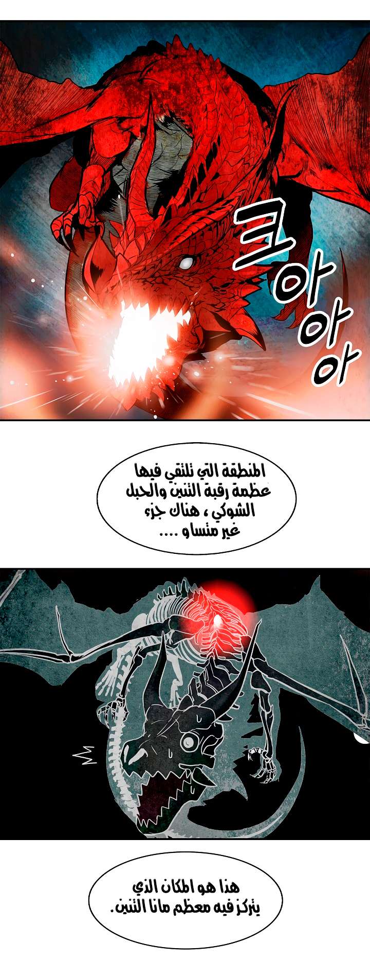 الصفحة 17
