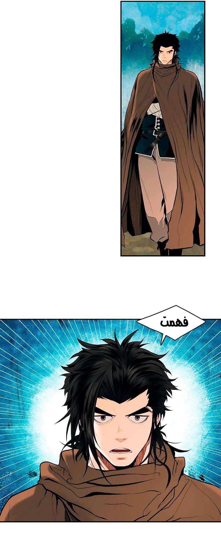 الصفحة 13