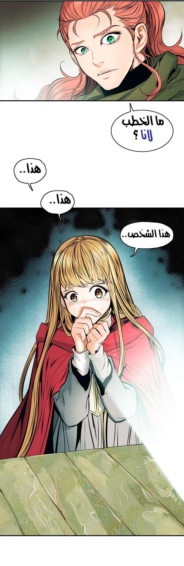 الصفحة 17
