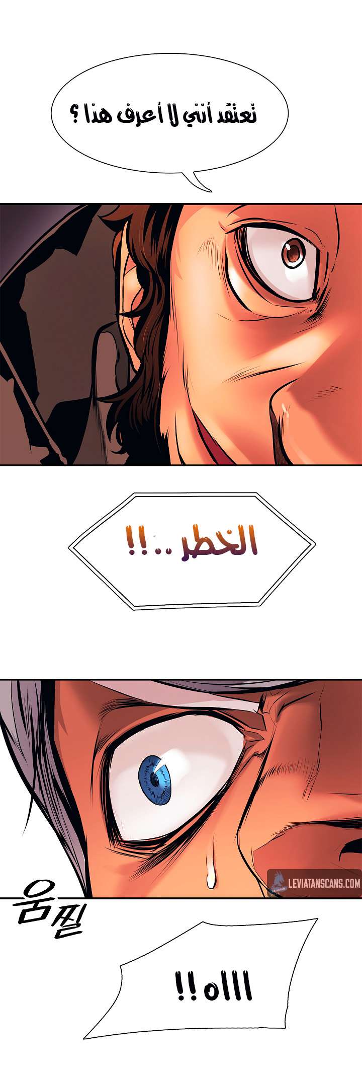 الصفحة 39