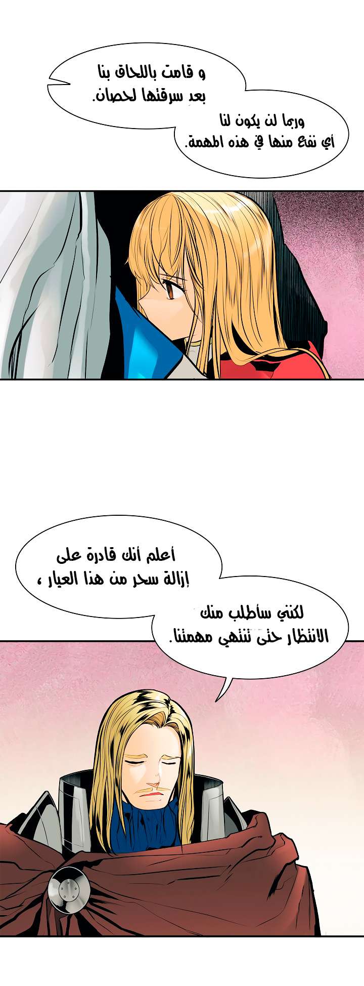 الصفحة 17