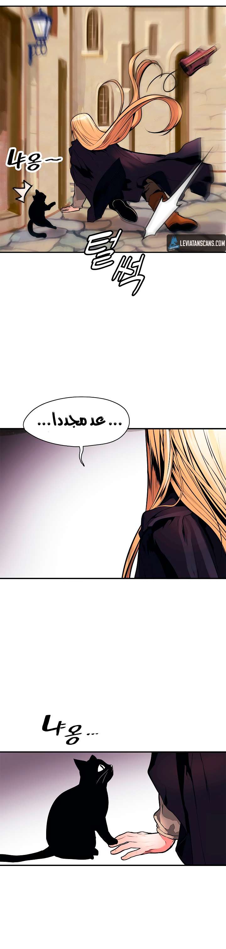 الصفحة 41