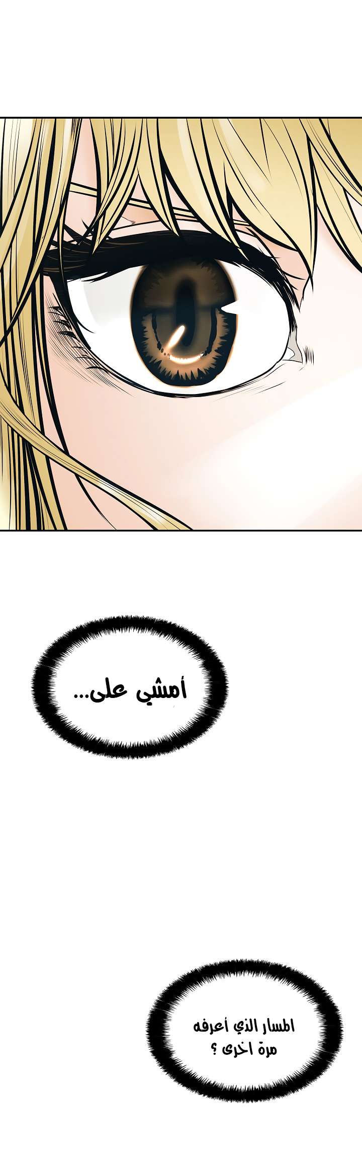 الصفحة 38