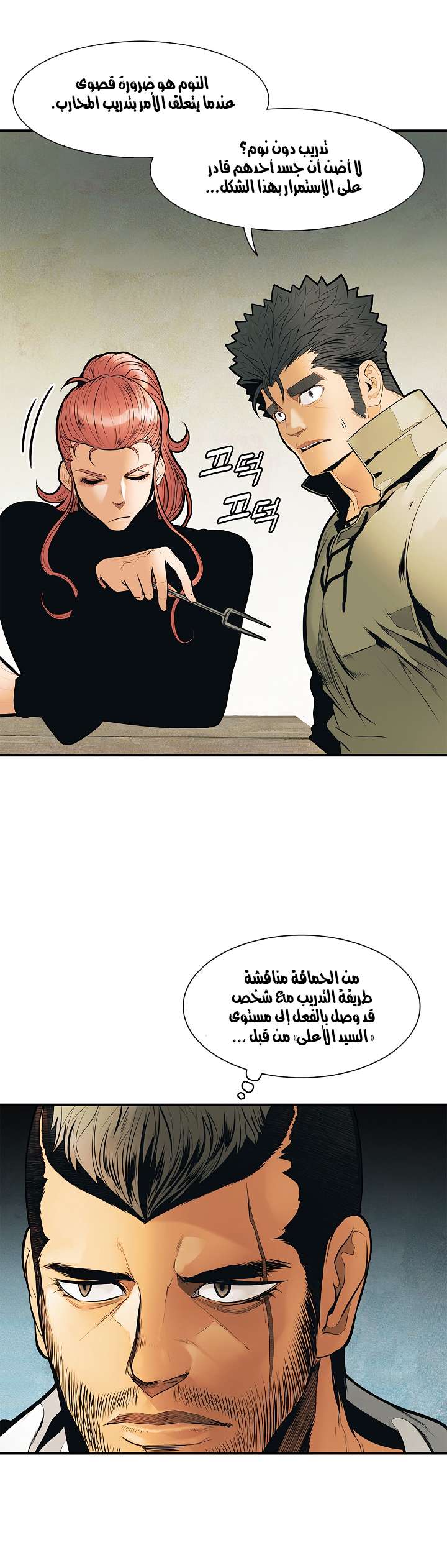 الصفحة 13
