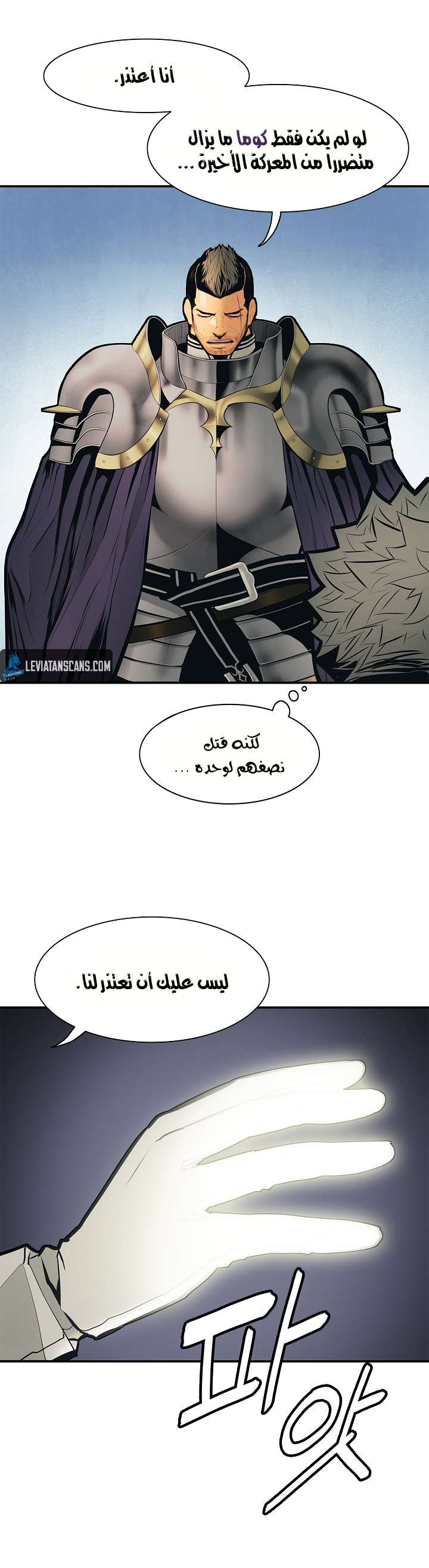 الصفحة 13