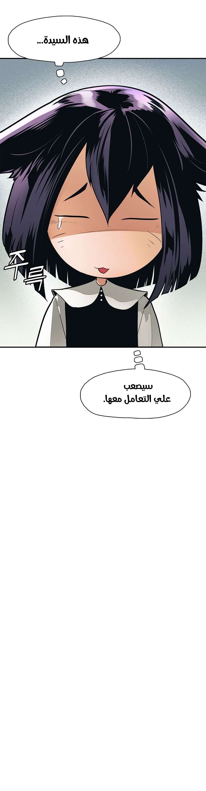 الصفحة 27
