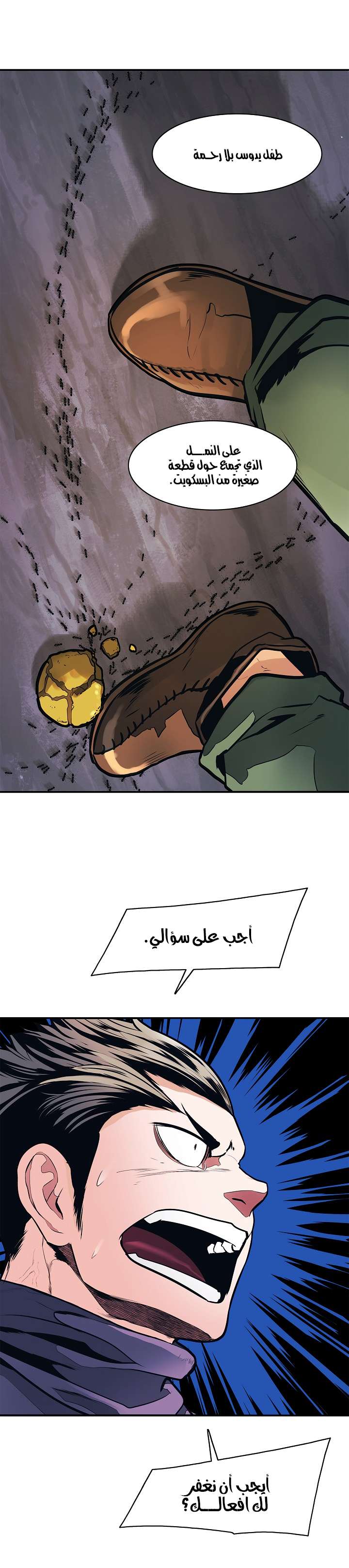 الصفحة 16