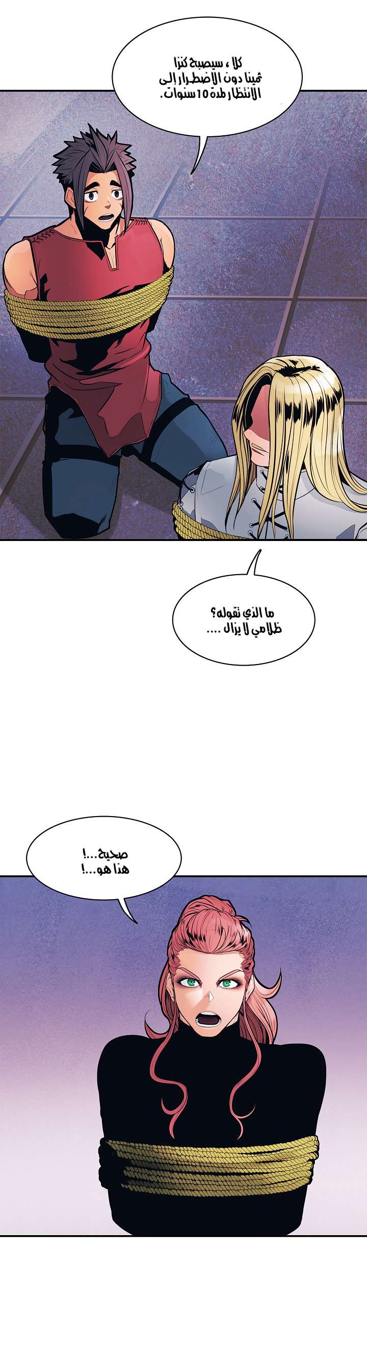 الصفحة 25