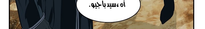 الصفحة 161