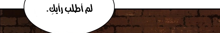 الصفحة 85