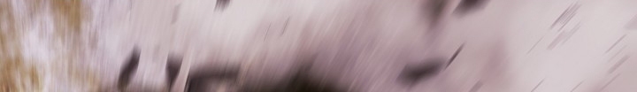 الصفحة 644