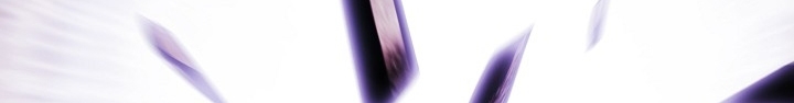 الصفحة 893